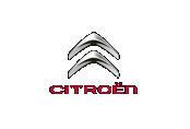 3D коврики Citroen